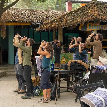 Chitwan Gaida Lodge - Animal Lovers & Birdwatchers Paradise Sauraha Esterno foto