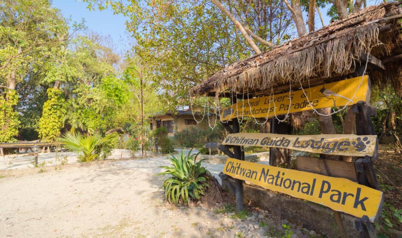 Chitwan Gaida Lodge - Animal Lovers & Birdwatchers Paradise Sauraha Esterno foto