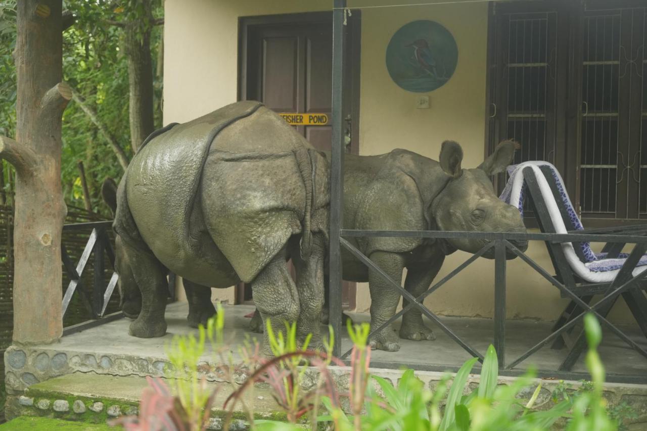 Chitwan Gaida Lodge - Animal Lovers & Birdwatchers Paradise Sauraha Esterno foto