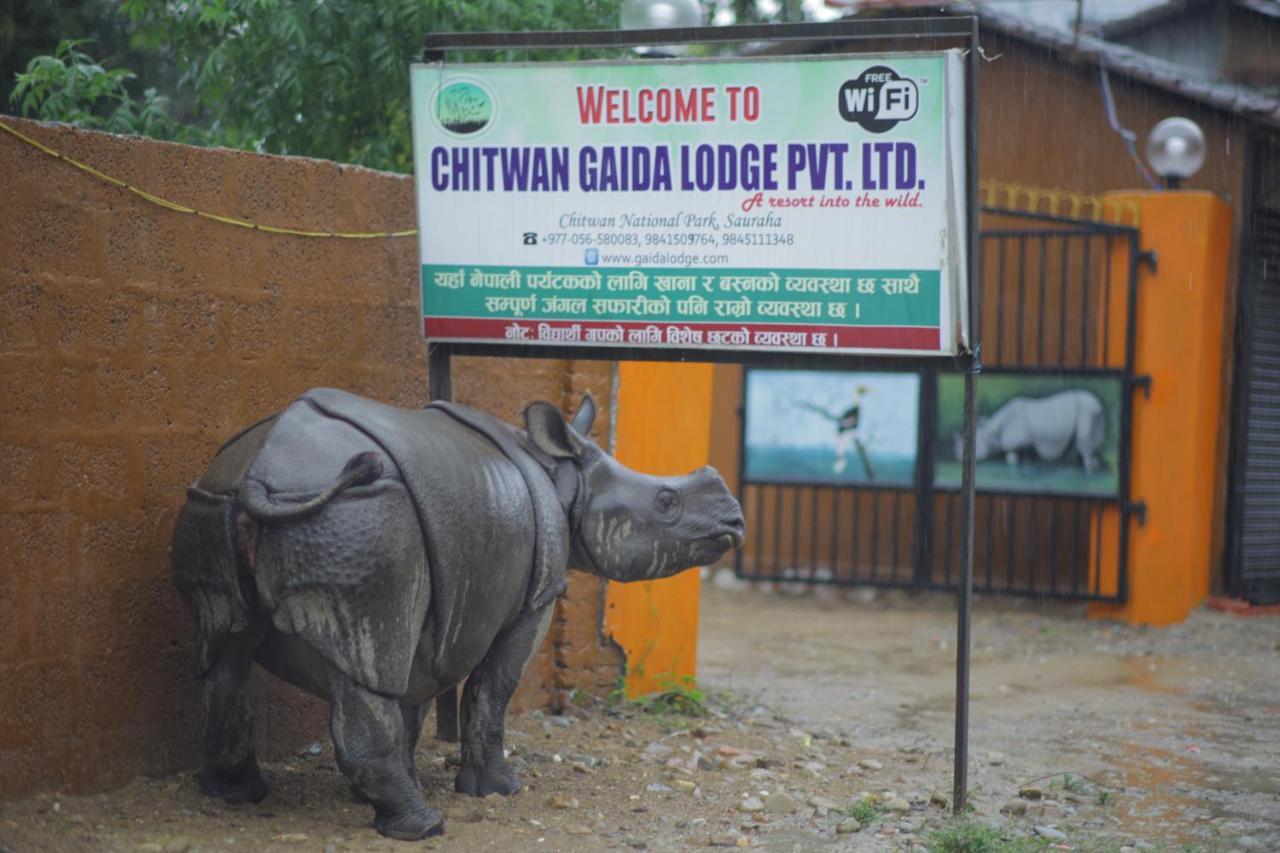 Chitwan Gaida Lodge - Animal Lovers & Birdwatchers Paradise Sauraha Esterno foto