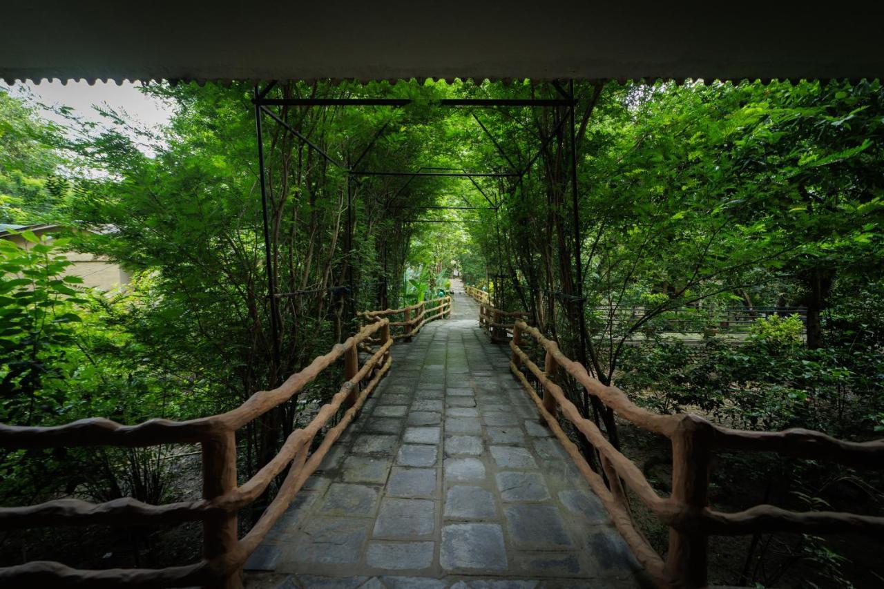 Chitwan Gaida Lodge - Animal Lovers & Birdwatchers Paradise Sauraha Esterno foto