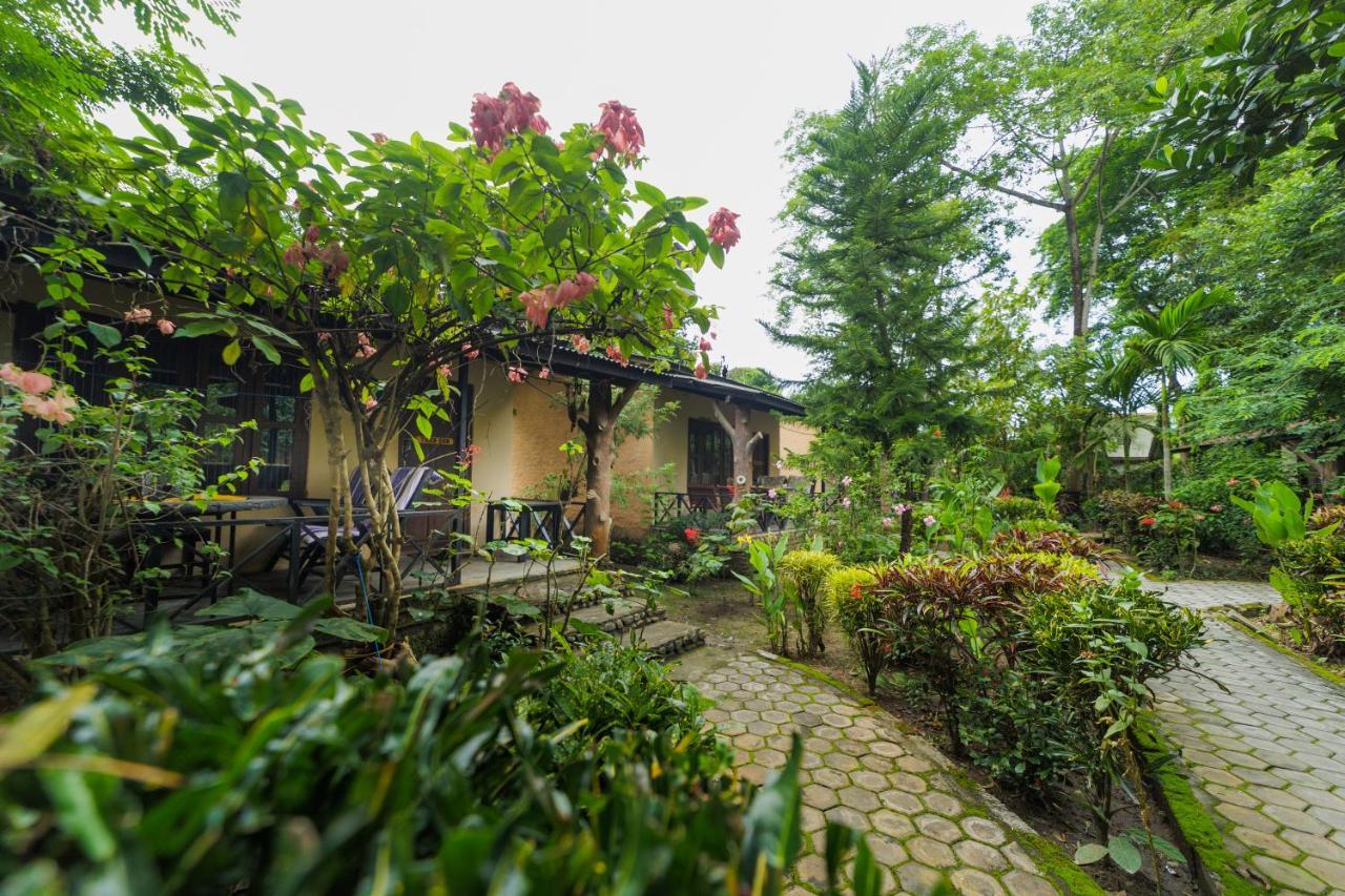 Chitwan Gaida Lodge - Animal Lovers & Birdwatchers Paradise Sauraha Esterno foto