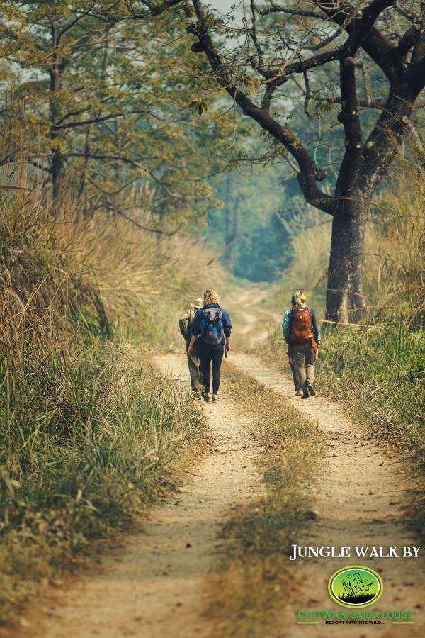 Chitwan Gaida Lodge - Animal Lovers & Birdwatchers Paradise Sauraha Esterno foto