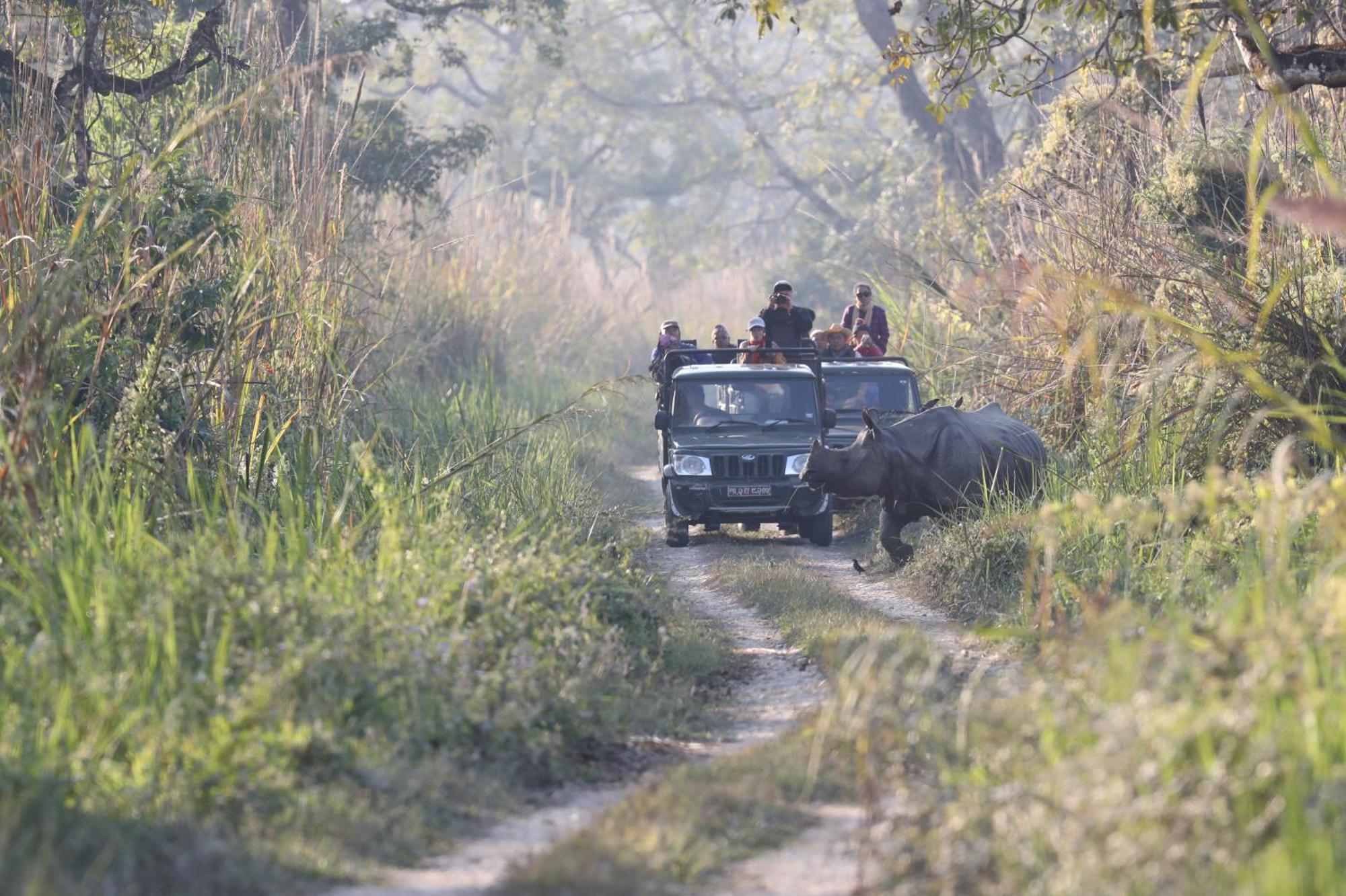 Chitwan Gaida Lodge - Animal Lovers & Birdwatchers Paradise Sauraha Esterno foto