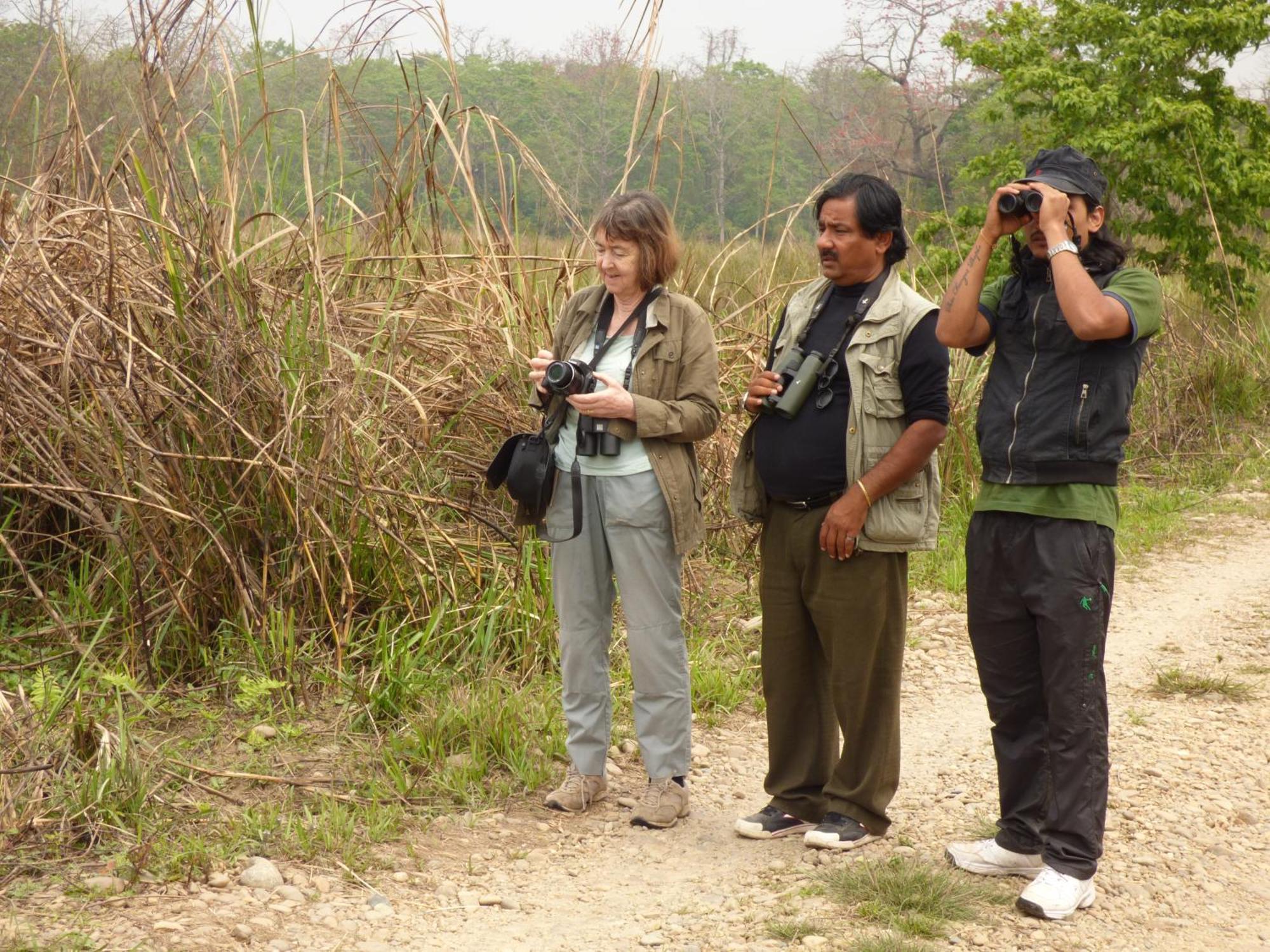 Chitwan Gaida Lodge - Animal Lovers & Birdwatchers Paradise Sauraha Esterno foto