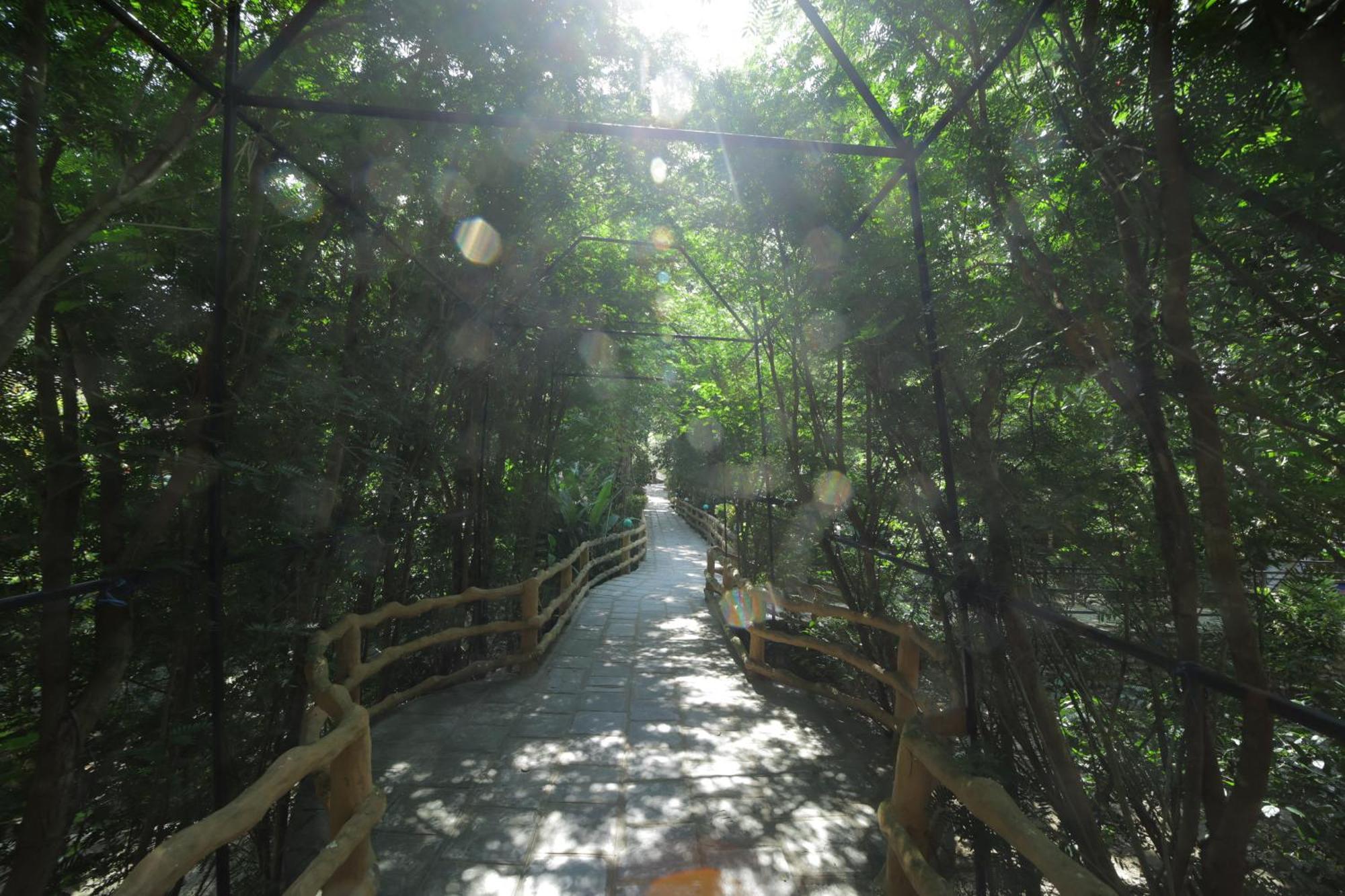 Chitwan Gaida Lodge - Animal Lovers & Birdwatchers Paradise Sauraha Esterno foto