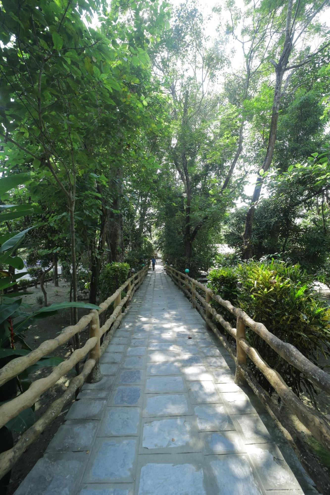 Chitwan Gaida Lodge - Animal Lovers & Birdwatchers Paradise Sauraha Esterno foto
