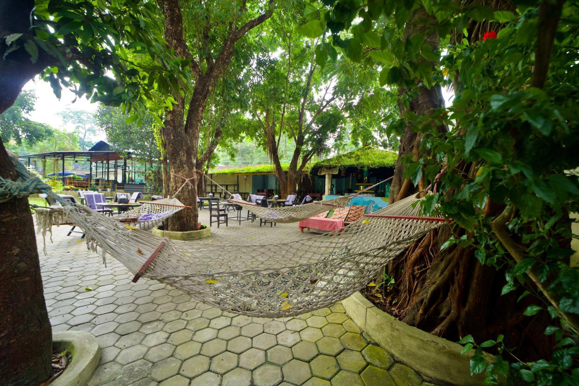 Chitwan Gaida Lodge - Animal Lovers & Birdwatchers Paradise Sauraha Esterno foto