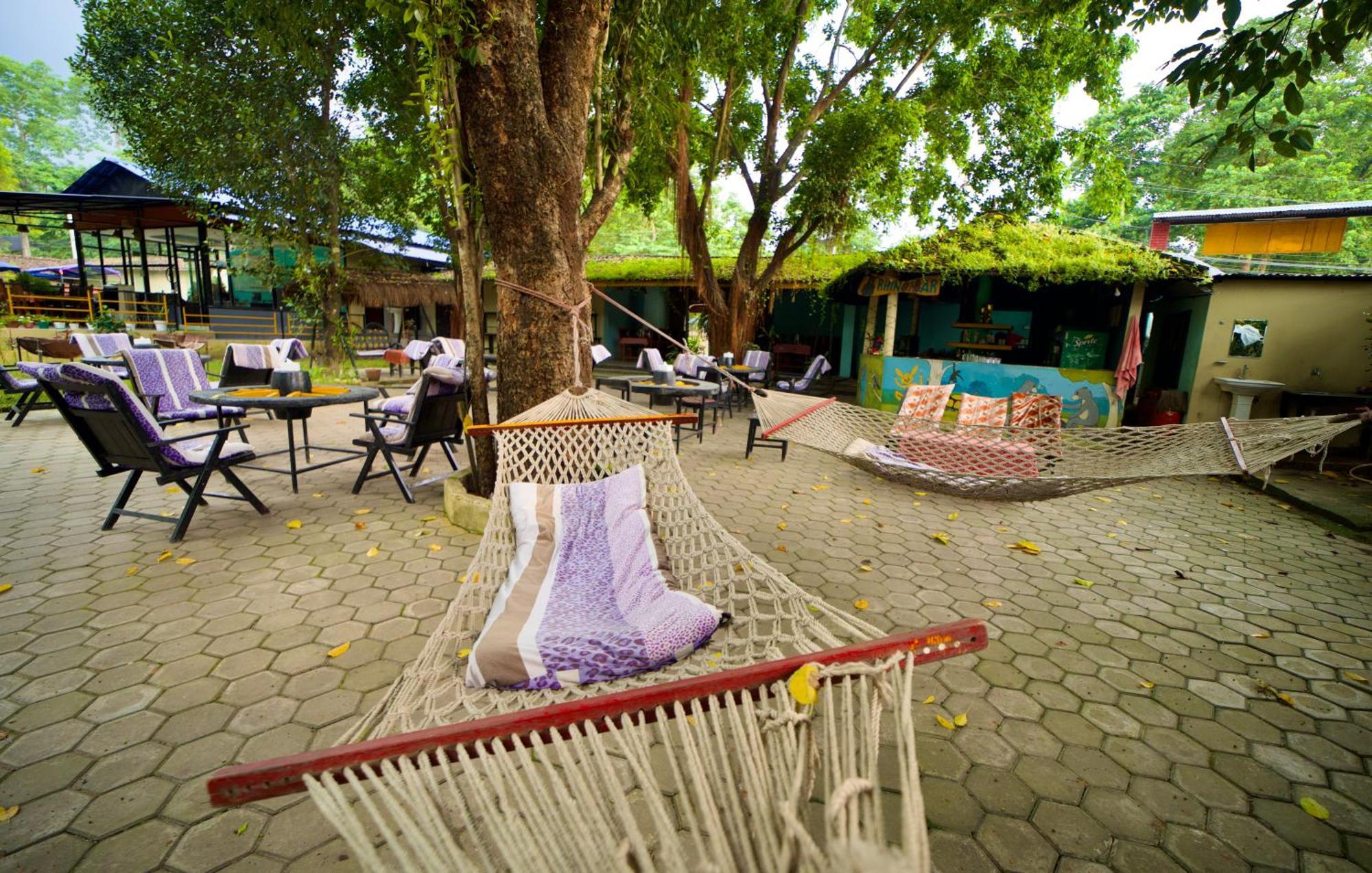 Chitwan Gaida Lodge - Animal Lovers & Birdwatchers Paradise Sauraha Esterno foto